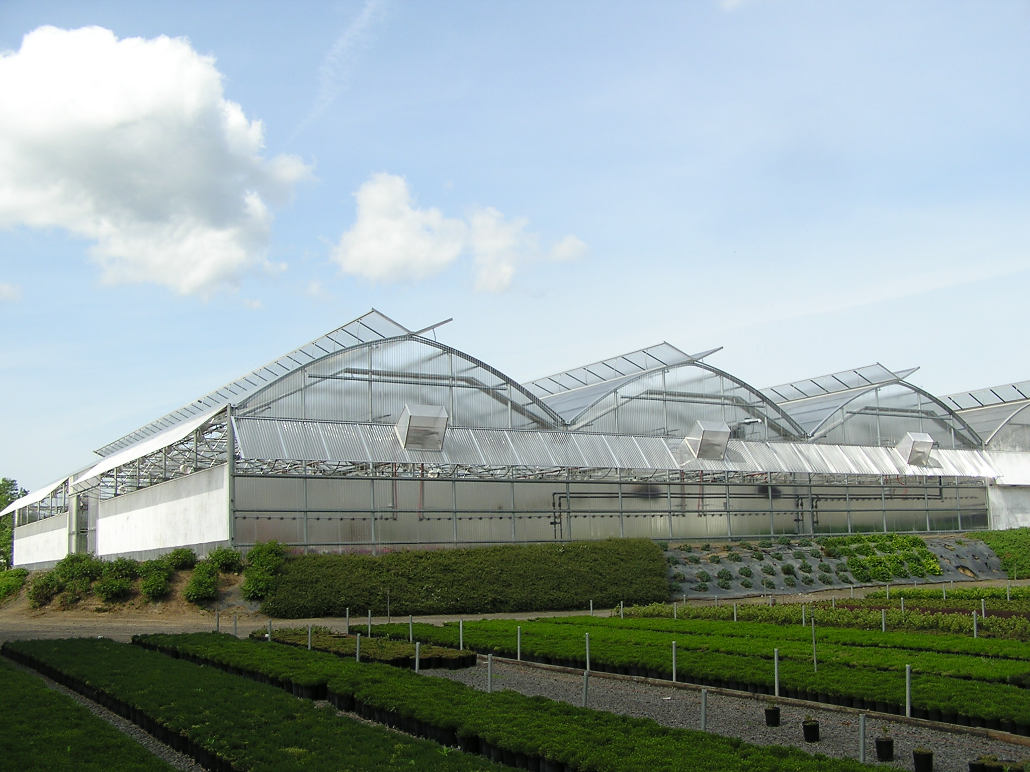 Greenhouse natural ventilation openings