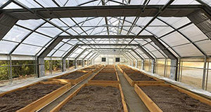 Light Deprivation Commercial Greenhouses