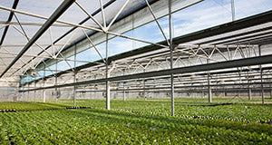 25 Year-Old Conley's Greenhouse in Great Condition