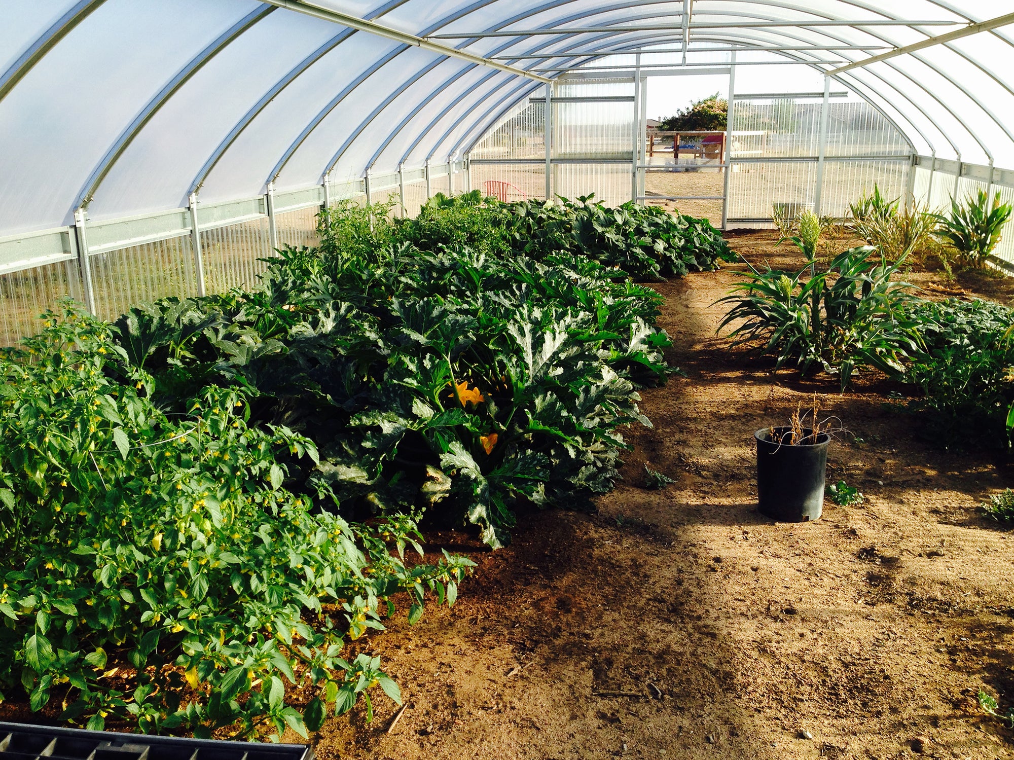 Cold Frame 1100 42" Sidewall Package