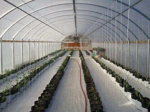 Wood Screw with Washer 1 1/2"